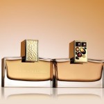 Private Collection Amber Ylang Ylang by Aerin Lauder