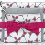 Limited Edition Holiday Cosmetic Cases from Kérastase