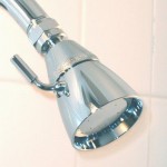 Vomitatious News: Your Shower Head Contains Up to 15 Kinds of Bacteria