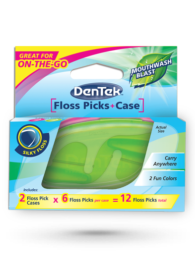 floss-picks-case
