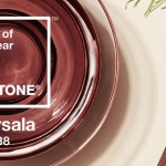 Pantone 2015 Color Of The Year: Marsala 