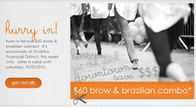 $60 Brow/Brazilian This Week At Shobha Financial District