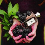 Jo Malone Blackberry And Bay Cologne Review