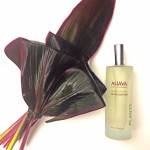 Ahava Dry Oil Mist